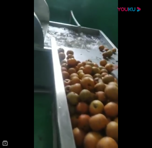 梨酒前处理榨汁生产线